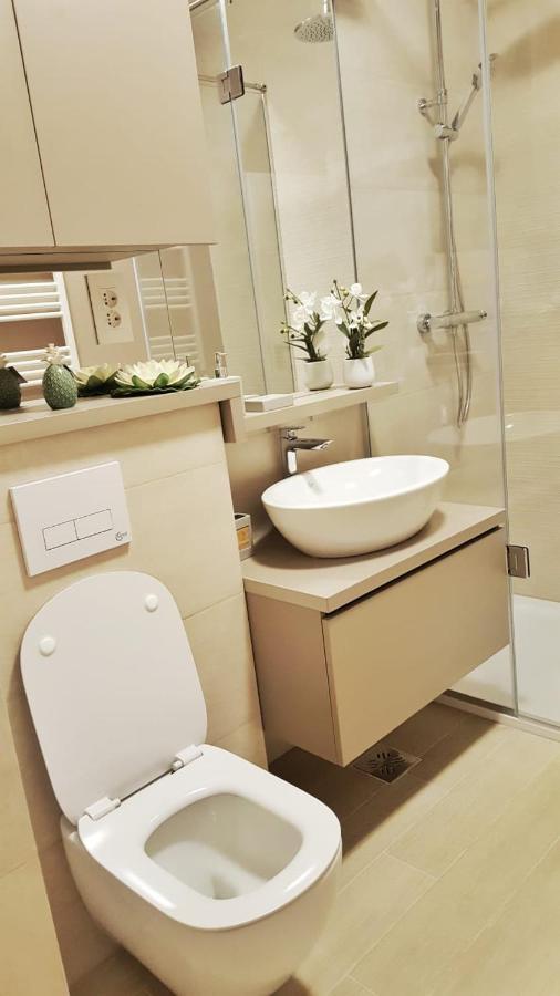 Elias Central Apartment - 2 Bedrooms & Free Parking Oradea Εξωτερικό φωτογραφία
