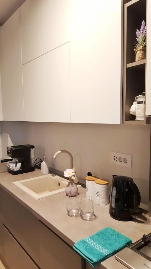 Elias Central Apartment - 2 Bedrooms & Free Parking Oradea Εξωτερικό φωτογραφία
